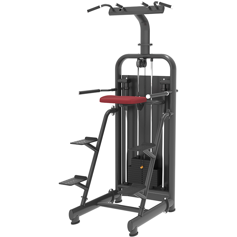 康強商用健身房專用器械力量器械專項器械無氧健身器械 6019輔助單雙杠訓練器