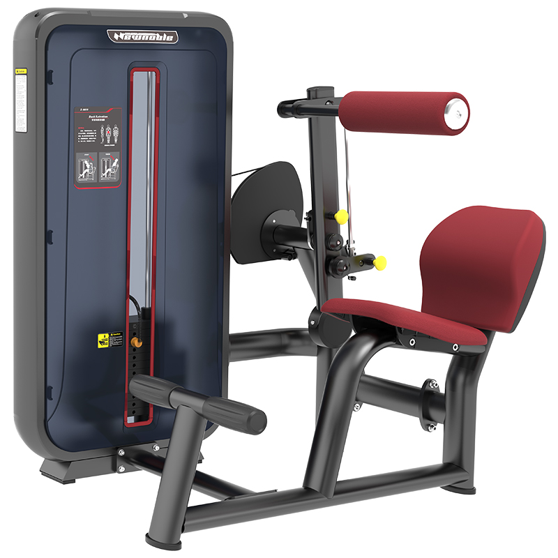 康強商用健身房專用器械力量器械專項器械無氧健身器械 6010背部伸展訓練器