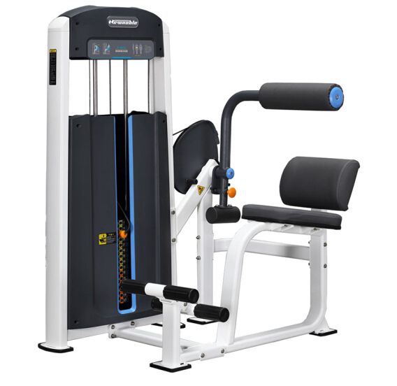 商用健身房專用器械力量器械專項器械無氧健身器械 1010背部伸展訓練器