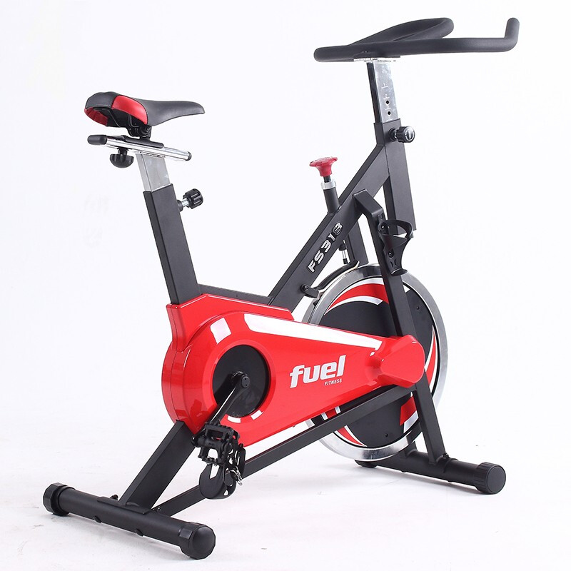 岱宇（DYACO）動感單車家用靜音FS318室內自行車健身器材 送貨安裝