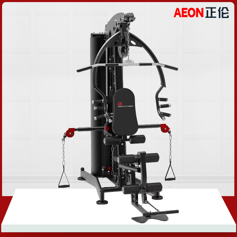 AEON正倫CL-601輕商用高低拉踢腿推胸多功能力量綜合訓練器