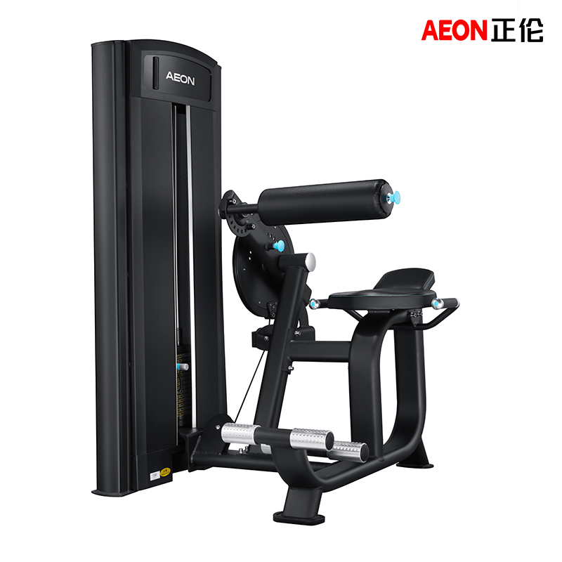 AEON正倫 CS-886 背腹部訓練器 背闊肌 斜方肌 菱形肌力量訓練器